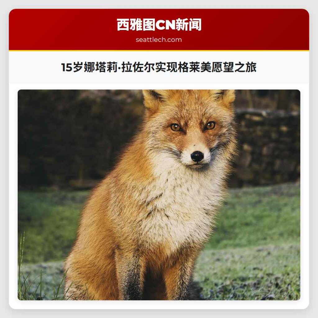 15岁娜塔莉·拉佐尔实现格莱美愿望之旅