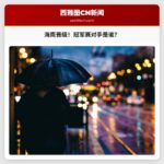 西雅图海鹰晋级NFC冠军赛，对手是？