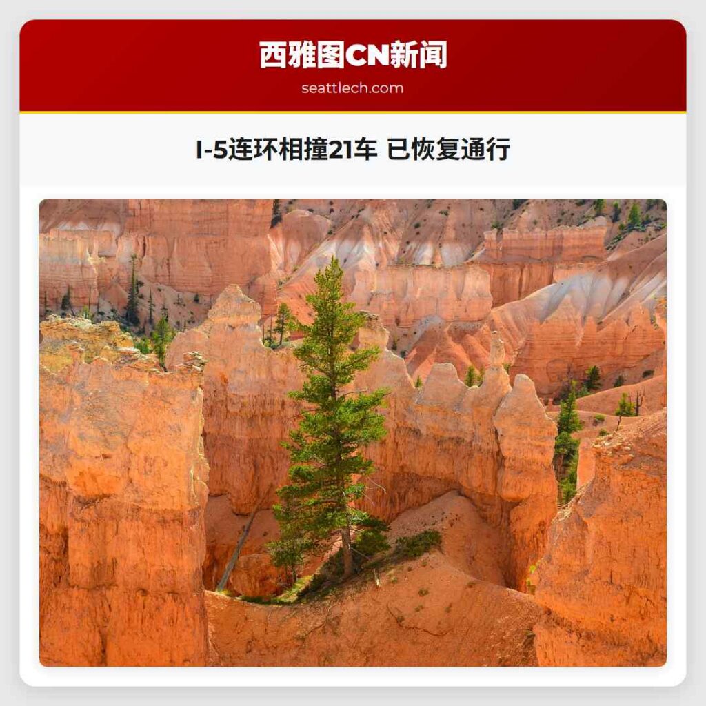 I-5连环相撞21车 已恢复通行