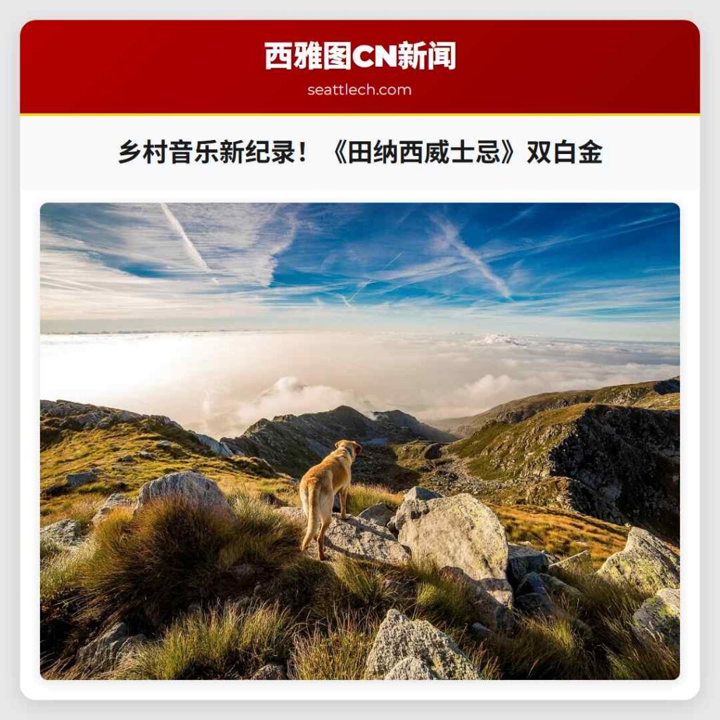 乡村音乐新纪录！《田纳西威士忌》双白金