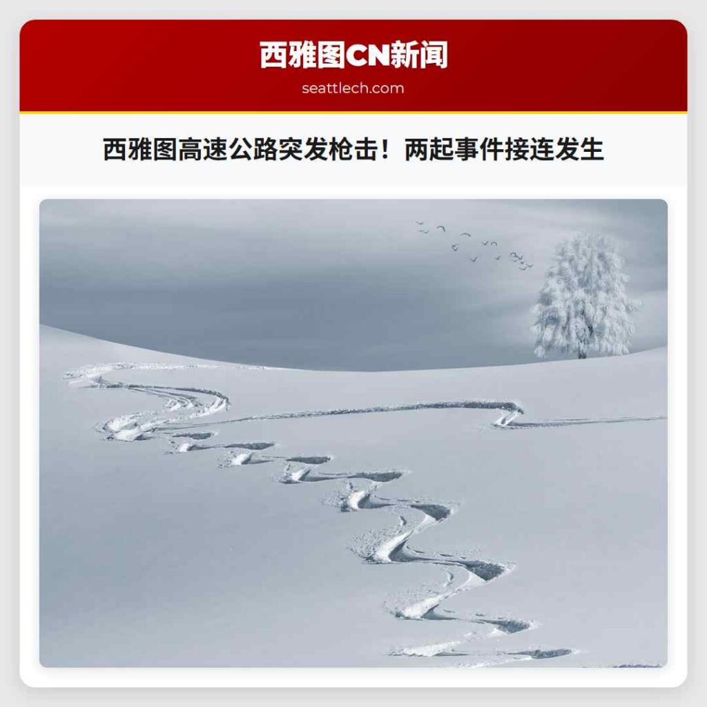 西雅图高速公路突发枪击！两起事件接连发生