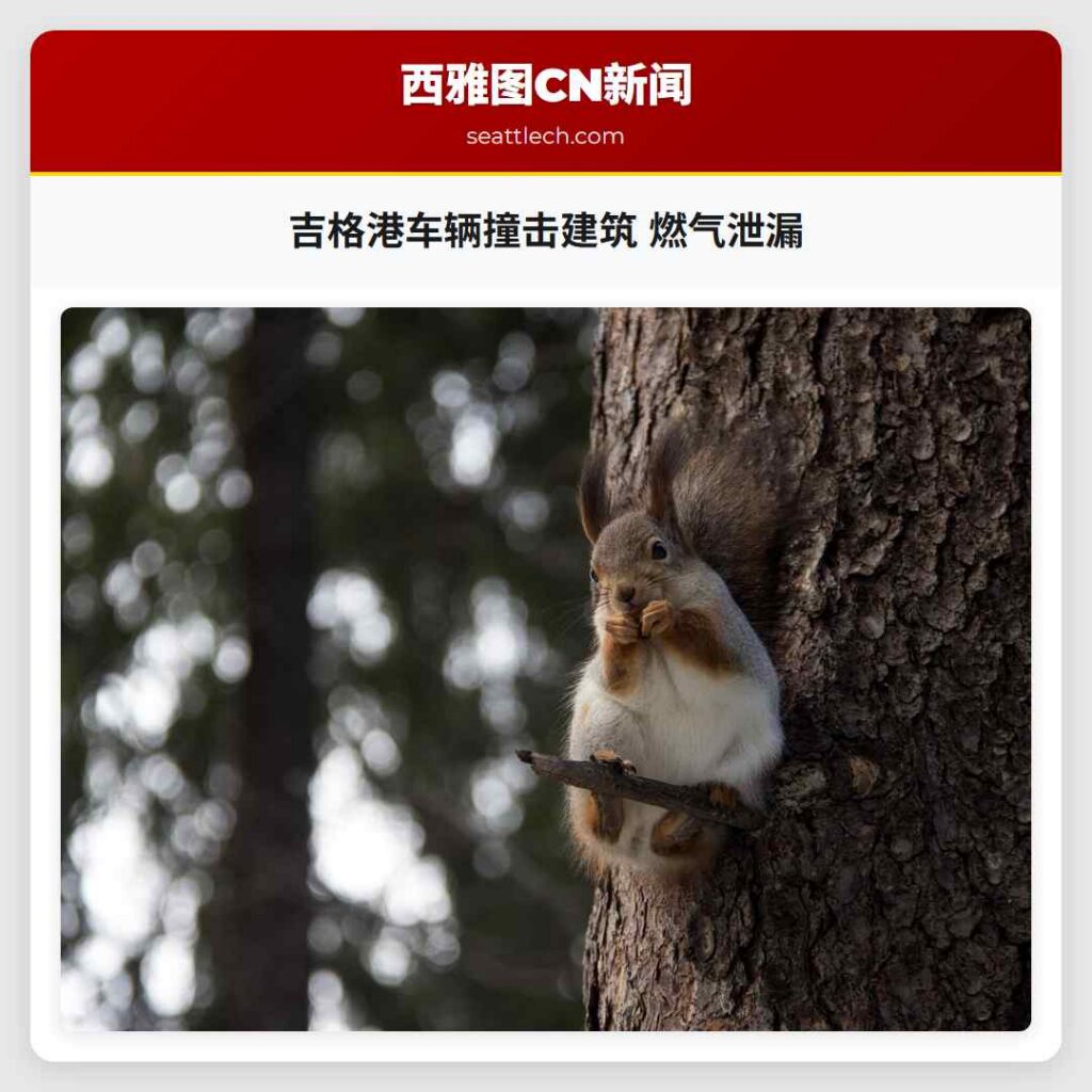 吉格港车辆撞击建筑 燃气泄漏