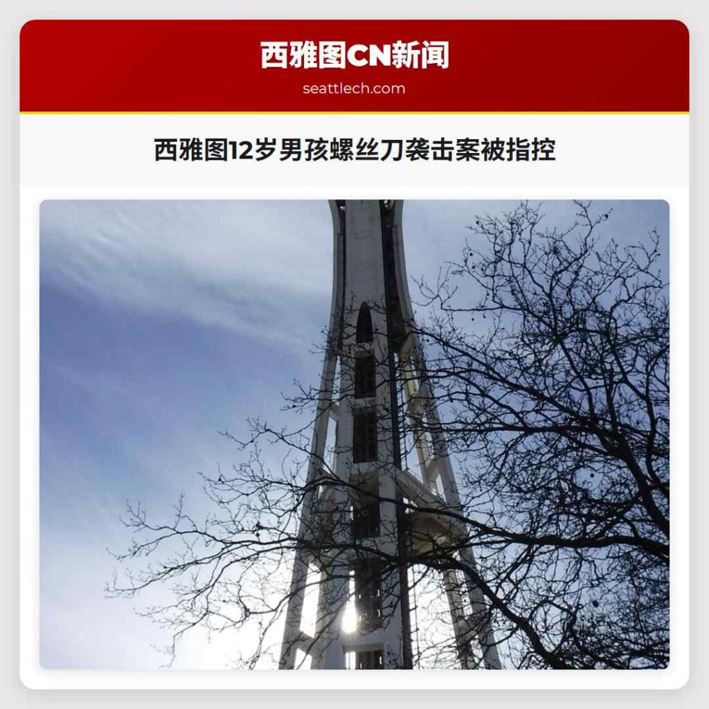 西雅图12岁男孩螺丝刀袭击案被指控