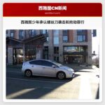 12岁少年承认西雅图螺丝刀袭击和抢劫罪行