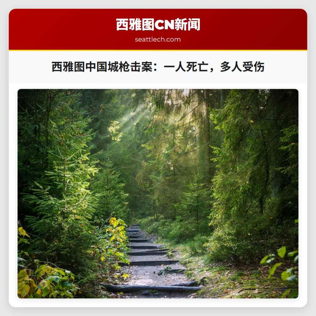 西雅图中国城枪击案：一人死亡，多人受伤