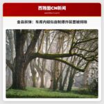 金县拆弹小组成功处置伯里恩车库内疑似自制爆炸装置