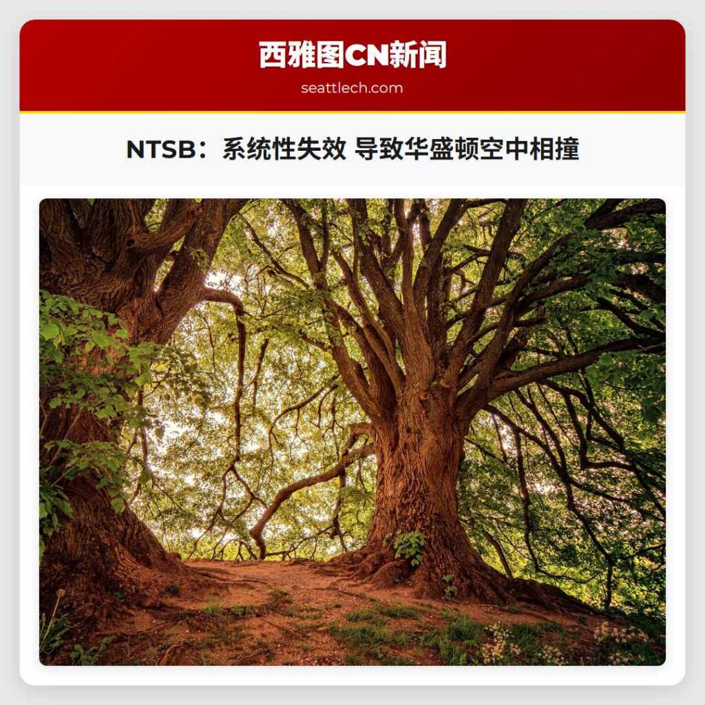 NTSB:系统性失效 导致华盛顿空中相撞