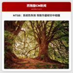 NTSB：系统性失效 导致华盛顿特区空中致命相撞事故