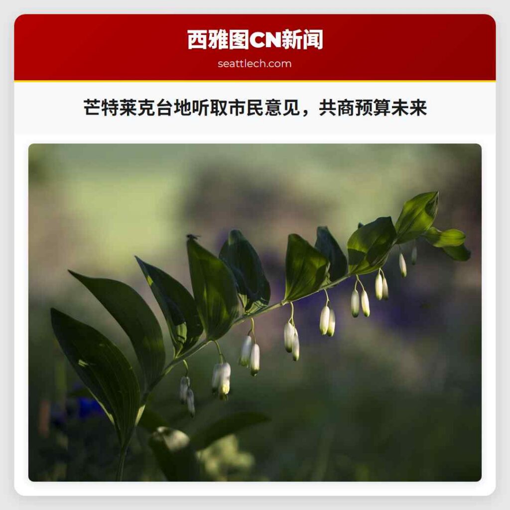 芒特莱克台地听取市民意见，共商预算未来