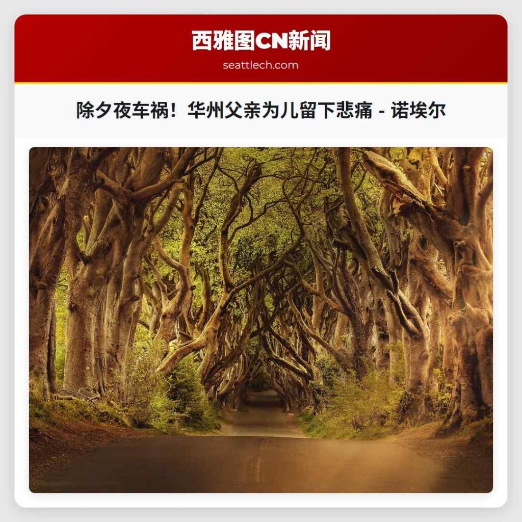 除夕夜车祸！华州父亲为儿留下悲痛 - 诺埃尔