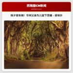 华州梅普尔瓦利父亲除夕夜不幸被酒驾车辆撞亡，留下四岁儿子