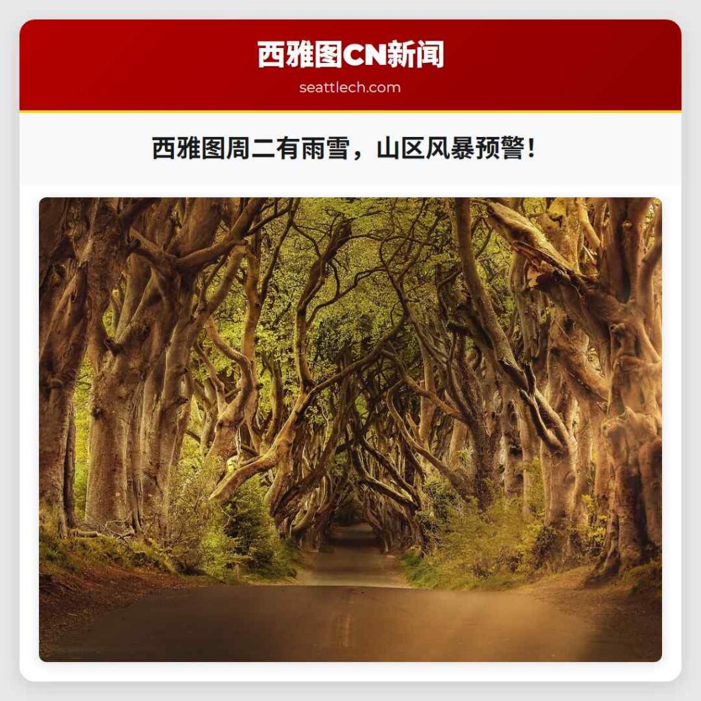 西雅图周二有雨雪，山区风暴预警！