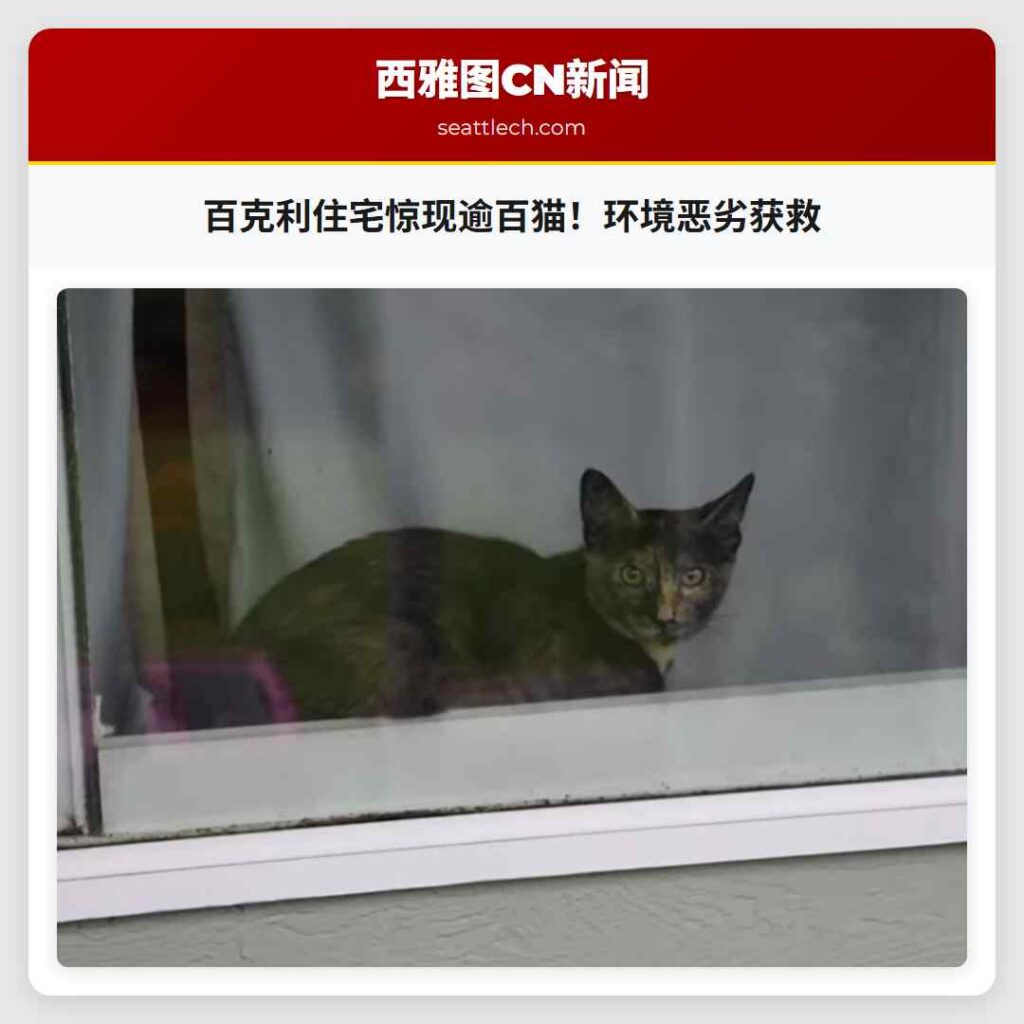 百克利住宅惊现逾百猫！环境恶劣获救