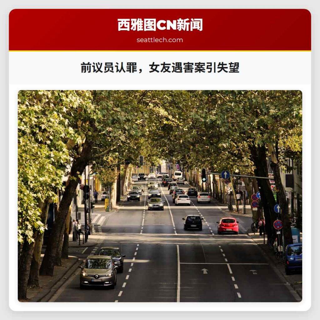 前议员认罪，女友遇害案引失望