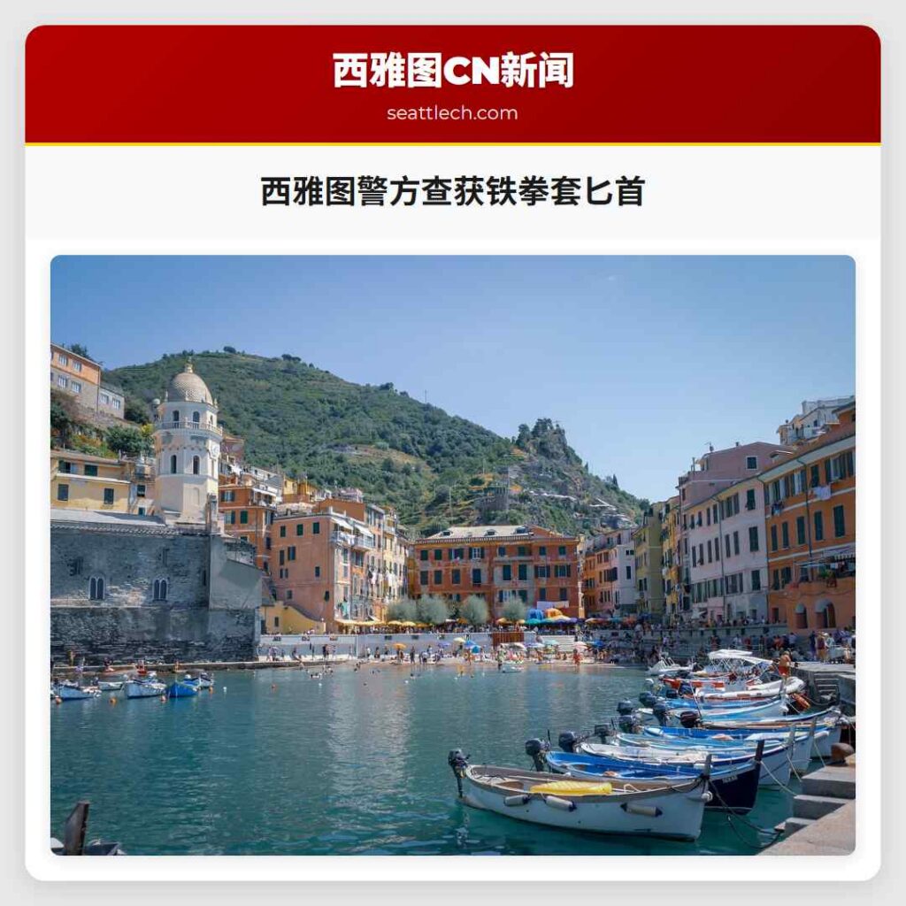 西雅图警方查获铁拳套匕首