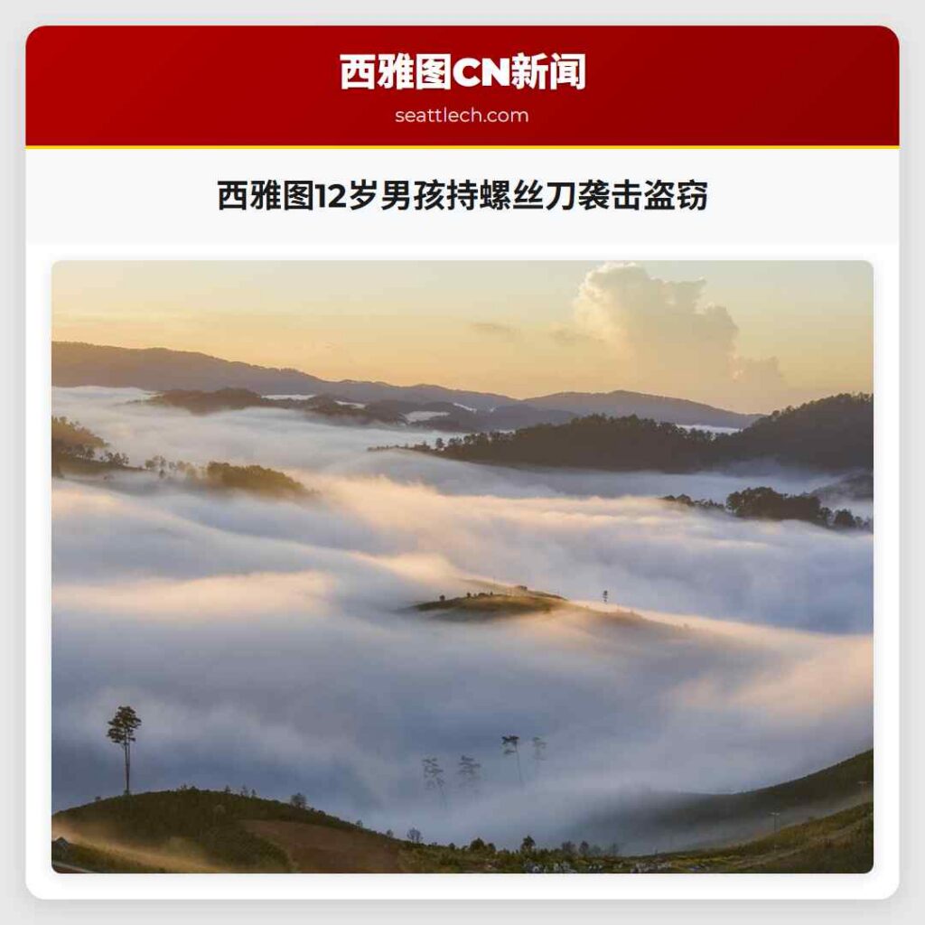 西雅图12岁男孩持螺丝刀袭击盗窃