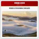 西雅图：12岁男孩持螺丝刀袭击女子并盗窃钱包