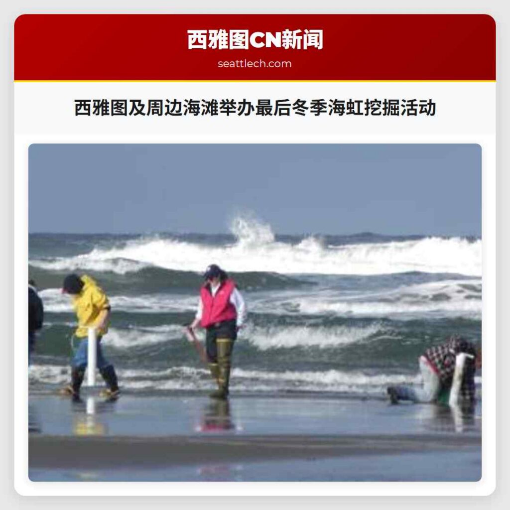 西雅图及周边海滩举办最后冬季海虹挖掘活动