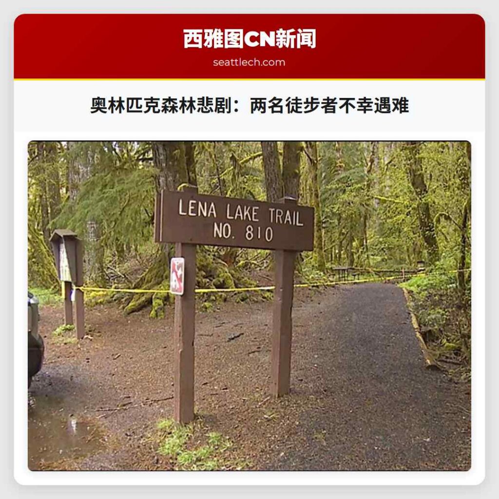 奥林匹克森林悲剧：两名徒步者不幸遇难