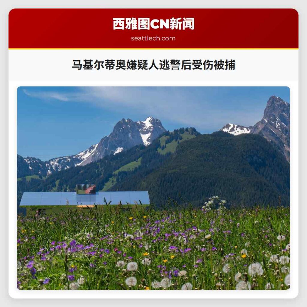 马基尔蒂奥嫌疑人逃警后受伤被捕