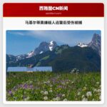 嫌疑人在逃离马基尔蒂奥警方后于埃弗里特被发现受伤