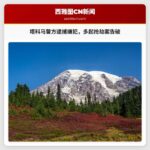 塔科马警方逮捕嫌犯，涉嫌多起针对老年妇女的抢劫案