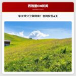 华盛顿大学四分卫转会风波：合同签署仅四天后宣布转会