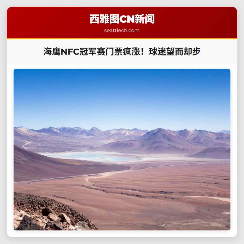 海鹰NFC冠军赛门票疯涨！球迷望而却步