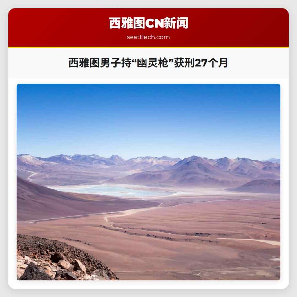 西雅图男子持“幽灵枪”获刑27个月