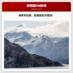 西雅图海鹰季后赛助力当地企业迎来销售高峰