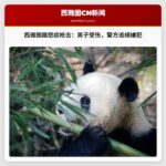 西雅图南联合湖社区路怒症枪击事件致一名男子受伤