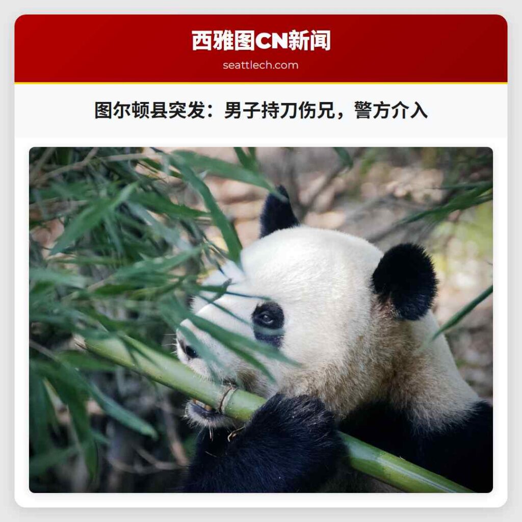 图尔顿县突发：男子持刀伤兄，警方介入