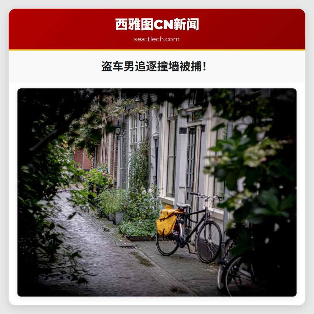 盗车男追逐撞墙被捕！