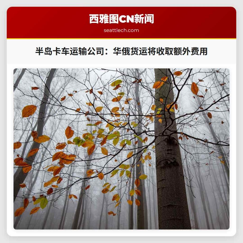 半岛卡车运输公司:华俄货运将收取额外费用