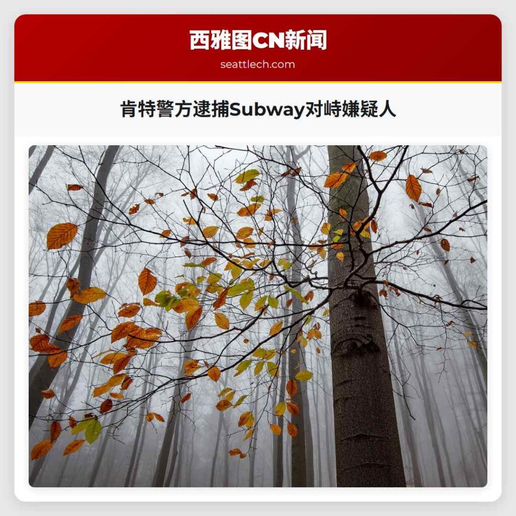 肯特警方逮捕Subway对峙嫌疑人