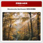 Bloodworks Northwest 发布血液捐赠红色警报