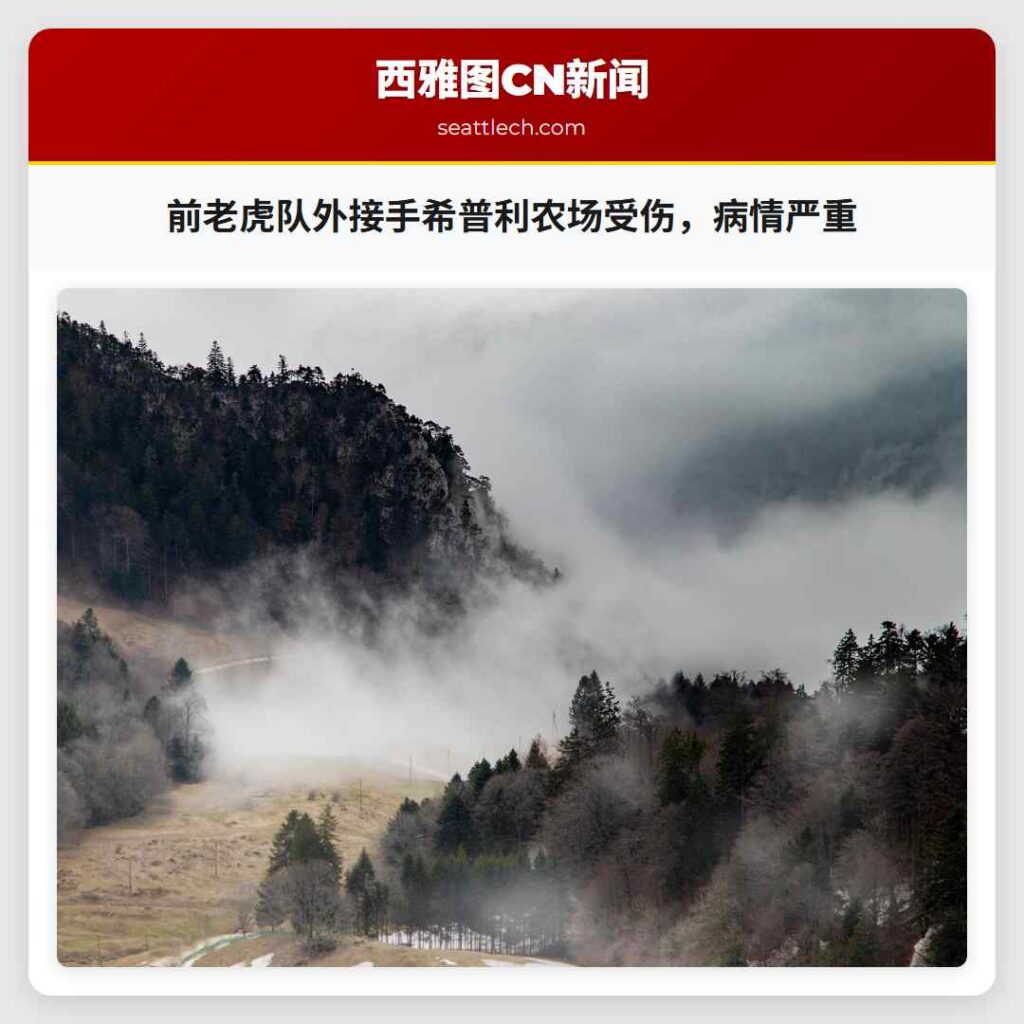 前老虎队外接手希普利农场受伤，病情严重