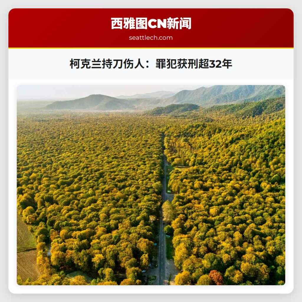 柯克兰持刀伤人：罪犯获刑超32年