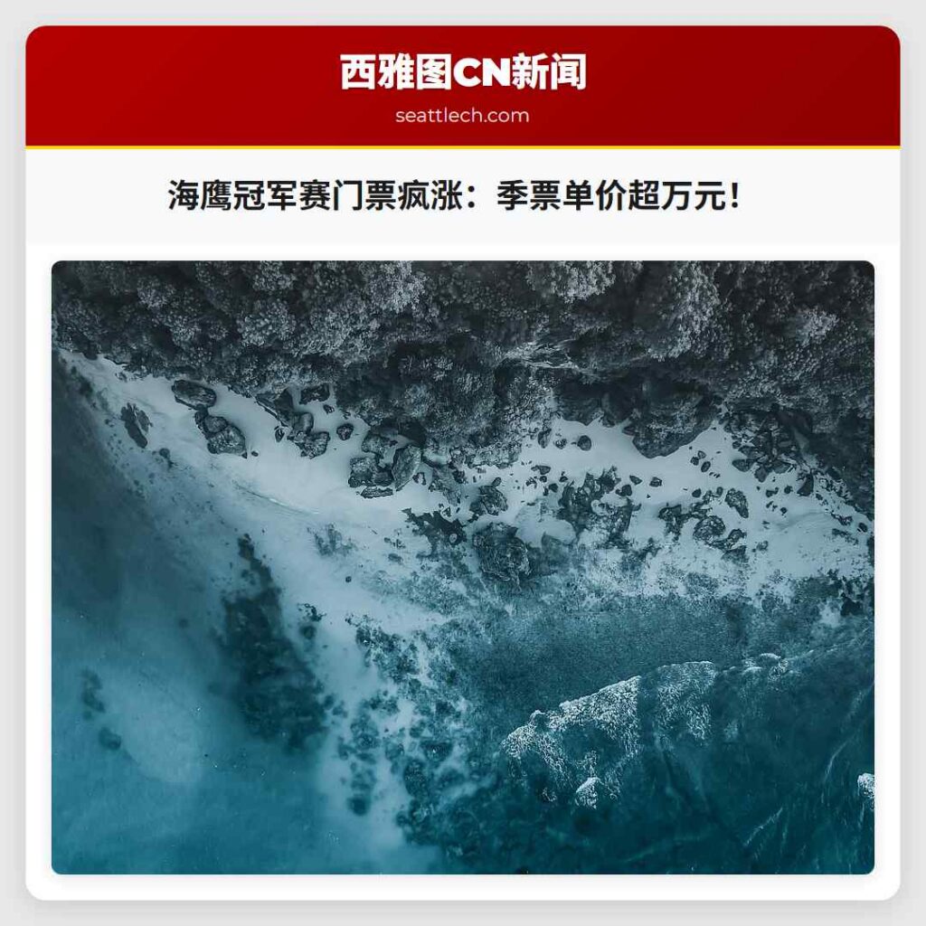 海鹰冠军赛门票疯涨：季票单价超万元！