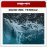 NFC冠军赛门票价格飙升：西雅图海鹰季票单价超万元