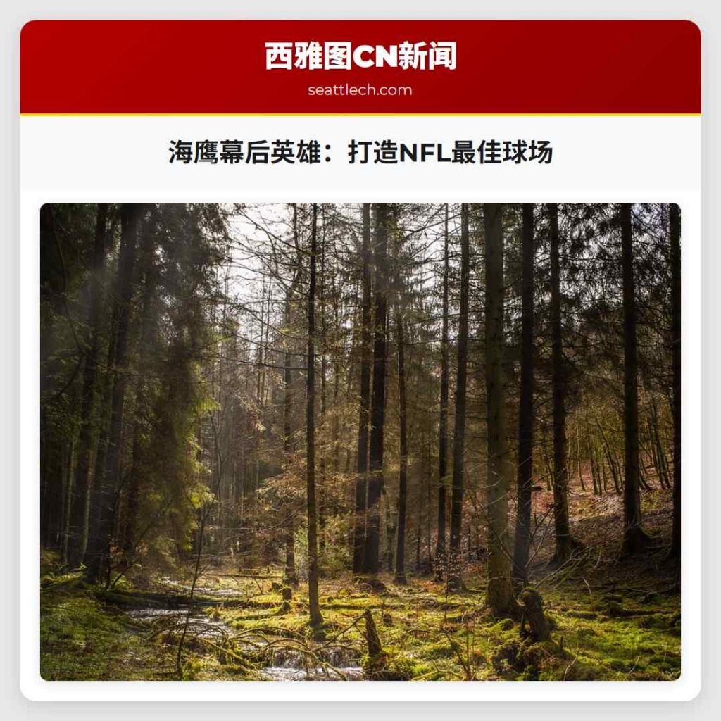 海鹰幕后英雄：打造NFL最佳球场