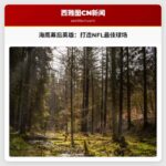 幕后付出：西雅图海鹰队为NFC冠军赛打造一流球场