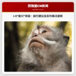 “复兴 I-5”项目交通拥堵应对方案：绕行建议及实时路况更新