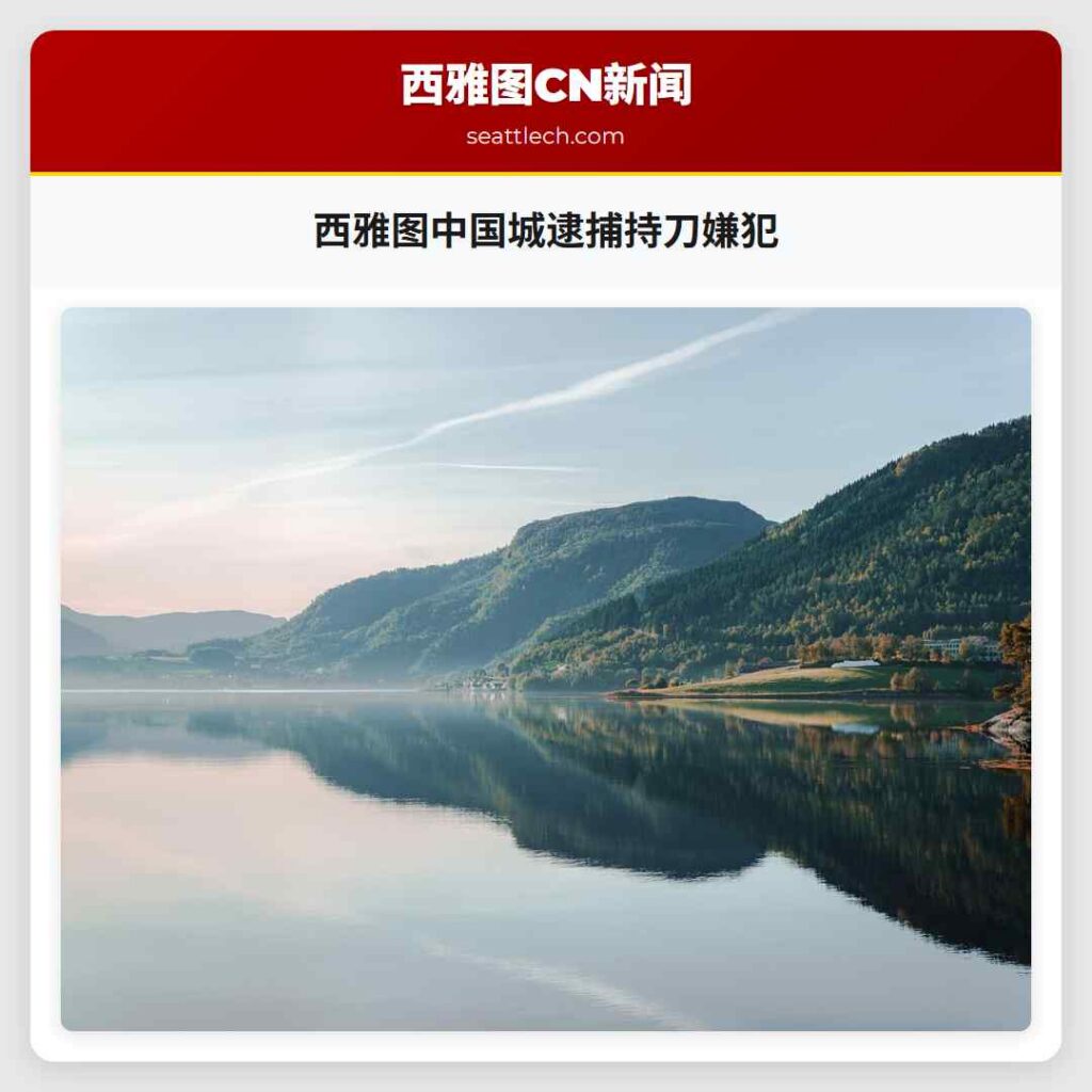 西雅图中国城逮捕持刀嫌犯