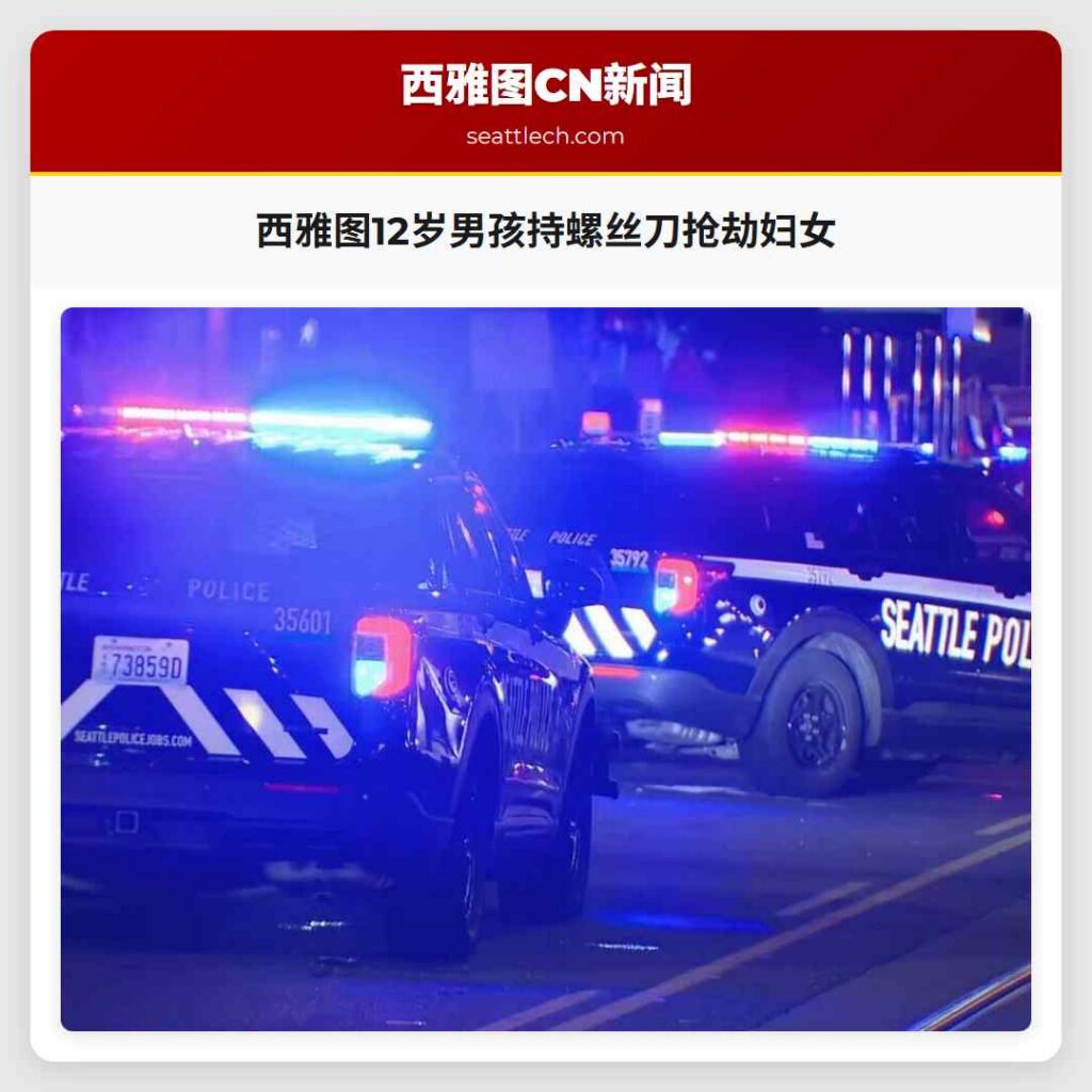 西雅图12岁男孩持螺丝刀抢劫妇女