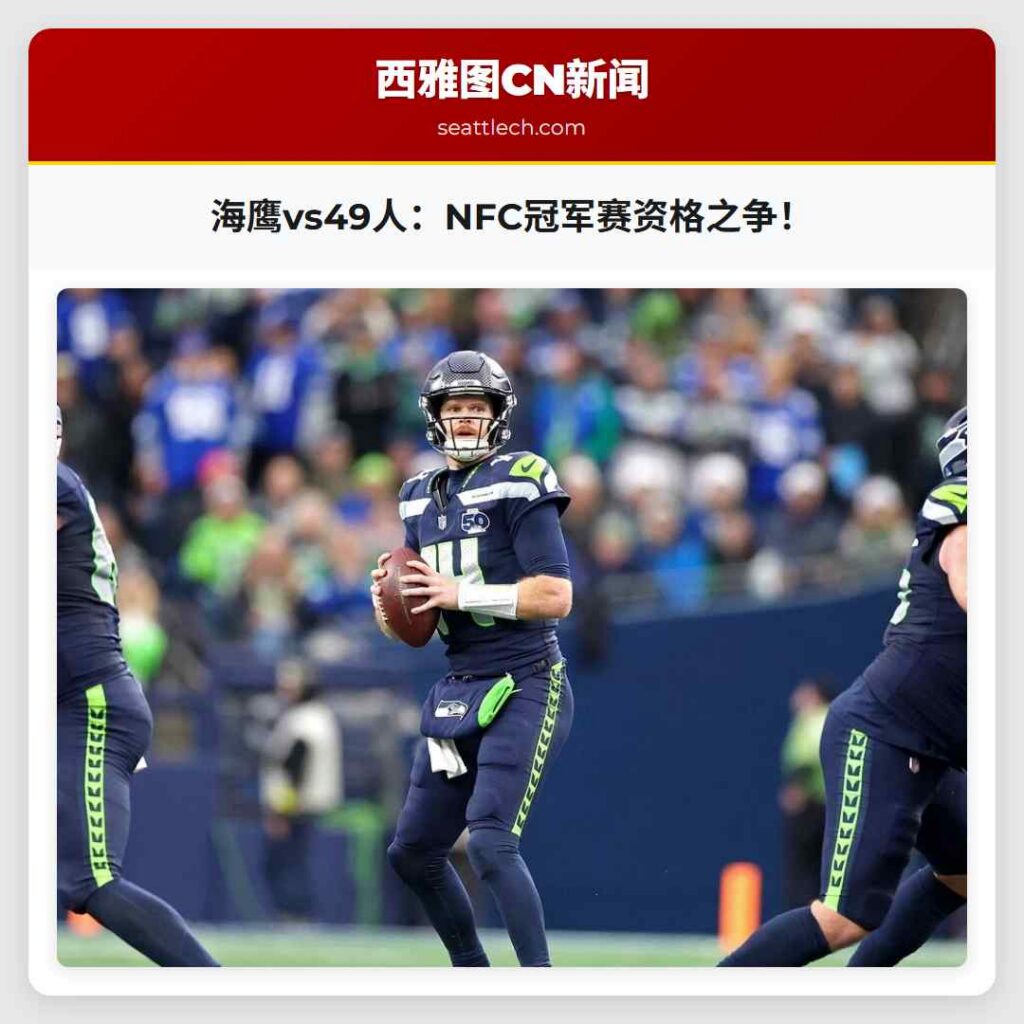 海鹰vs49人：NFC冠军赛资格之争！