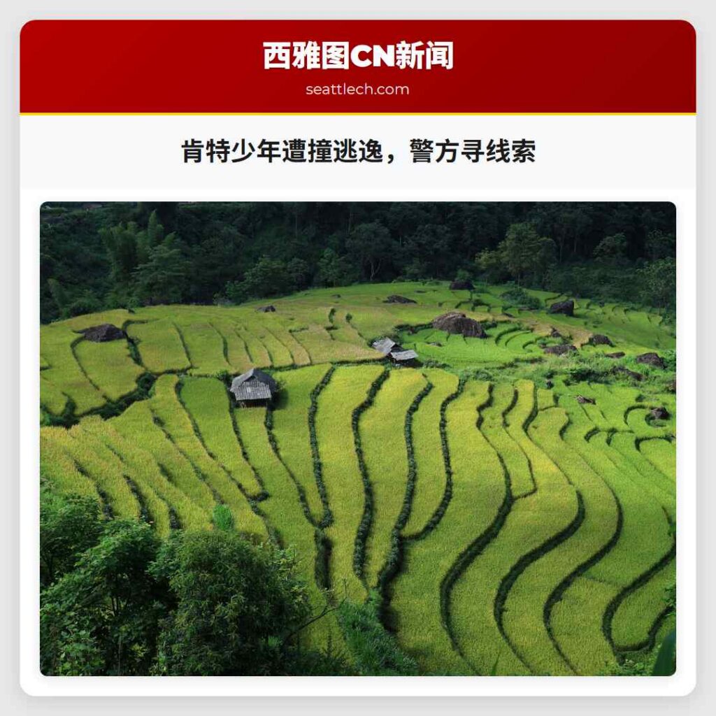 肯特少年遭撞逃逸，警方寻线索