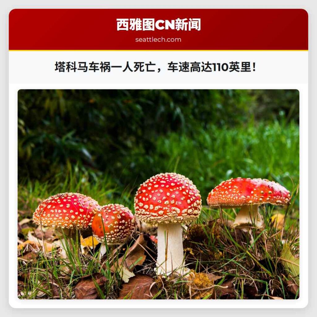 塔科马车祸一人死亡，车速高达110英里！