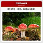 车辆失控撞杆致一人死亡，塔科马发生交通事故