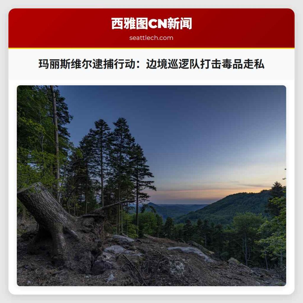 玛丽斯维尔逮捕行动：边境巡逻队打击毒品走私